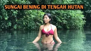 SUNGAI SUPER BENING DI TENGAH HUTAN | TUKAD SUGANING