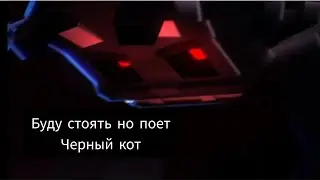 wicsur- БУДУ СТОЯТЬ но поет черный кот (впискас)