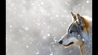 Eminem - Alpha 2 (2019)