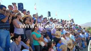 1RA SERIE LIBRE B, 32º CAMPEONATO NACIONAL DE RODEO EN MEDIALUNA SOCABIO, LOS ANGELES 2024.