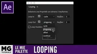 Le Mie Palette - Looping