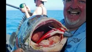 Awesome reef Jigging!!  Great Barrier Reef!!