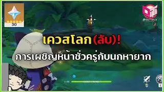 เควสลับ SUMERU ! 