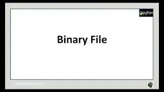 Python File Handling - Binary File
