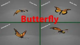 3D model of Butterfly | Animations of Butterfly (+SUB)