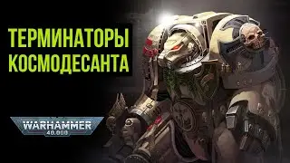 Терминаторы Космодесанта. Ваха-ликбез. Warhammer 40000 