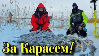 Бешеный клев здоровых Карасей  Клюет на все удочки