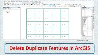 How to Delete Duplicate Features in ArcGIS
