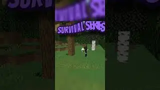 Minecraft but I have to make Full Diamond Armour 😁