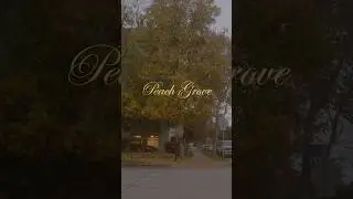 peach grove 🍁 a mini short film by me