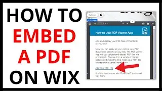 How to Embed a PDF on Wix [QUICK GUIDE]