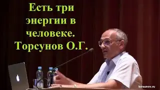 Есть три энергии в человеке. Торсунов О.Г.