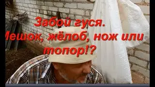 Забой гуся. Мешок, жёлоб, нож или топор!?