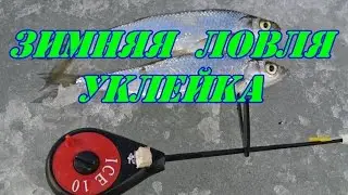 Зимняя ловля уклейки.