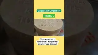 Что случается с латексным покрытием спустя год и больше / Сыроварня Елисеевых / Часть 2