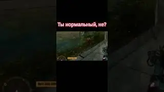 Ты нормальный, не? • Куплинов 