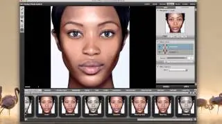 Perfect Photo Suite and Photoshop CS6