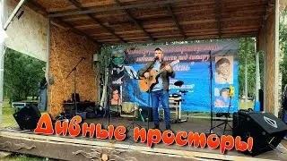 "Жизнь торопится куда-то" (А. Логвинов)