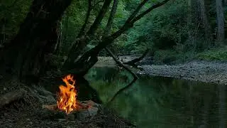 Bonfire in the forest in rainy weather 10 minutes. / Костёр в лесу в дождливую погоду 10 минут.