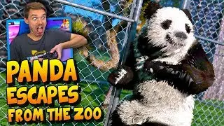 GTA 5 REAL LIFE MOD Panda Escapes from the Zoo! | 