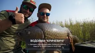 Cоревнования по Flat Feeder. Водоем Кричевичи, 7й этап. №2