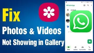 Whatsapp media not showing in gallery | WhatsApp photos not showing in gallery
