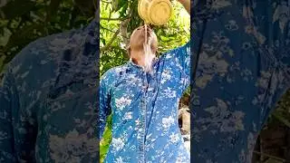The human body transports water ,greeni ...