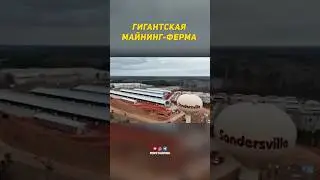 Масштабы просто поражают😱 