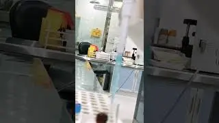 Laboratory life