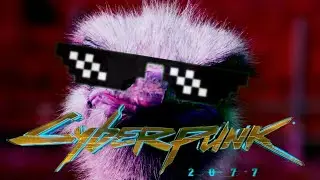 When the Cyberpunk 2077 music kicks in | Когда начинается музыка Киберпанк 2077