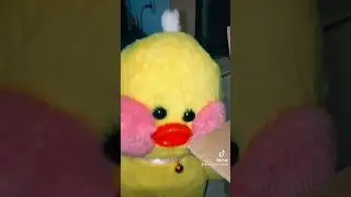 ЛАЛАФАНФАН УТЯКСИ! НАСТЯ ТАКСУЕТ?!😂 1 ЧАСТЬ! 