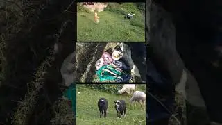 Зубанчи #дахадаевскийрайон