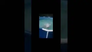 КОРОЧЕ ГОВОРЯ БАССЕЙН 1 ЧАСТЬ