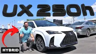 2024 Lexus UX: Whats New For The UX?