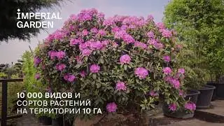 Приглашаем в IMPERIAL GARDEN