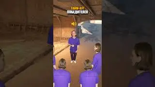 💵💵💵 мой тгк - пяточкин          #пяткин #cs #cs2 #csgo #кс2 #ксгоприколы