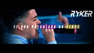 EL MINUTO DE GAZIR (Y EL PERRO 🐕) RED BULL INTERNACIONAL 2021 | Ryker