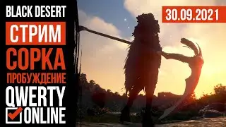 [BDO]: Сорка / Валькирия. Фарм и общение.