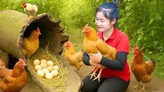 How To Harvesting many Big Chiken Eegs On The Hill Goes To Market Sell,Cooking|Ella - Free Bushcraft