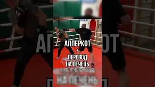 Апперкот + печень 