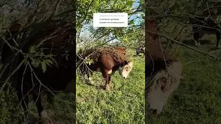 Папашки интересуются 💕 