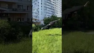 Проверил как вам? Эксклюзив➡️тгк: sema04 