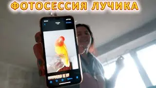 VLOG Готовим с Назаром пельмени