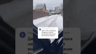 29 января 2023 г.