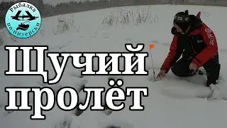 Как не поймать щуку на Вуоксе.