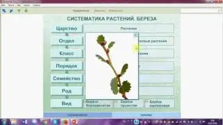 Систематика растений. ОГЭ. ЕГЭ. Биология.