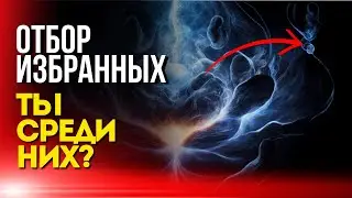 Отбор Избранных: Ты Среди Них?