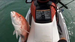 Red snappers 8 miles out! Sept 12th. Bring this bait..