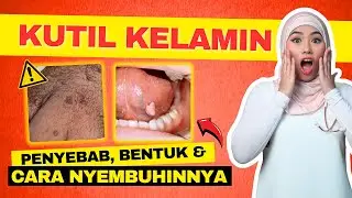 KUTIL KELAMIN ITU KARENA APA⁉️ - QONITCAH OFFICIAL