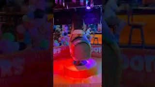 🥵😊Bangkok Hooters Girls Bull Riding #shorts